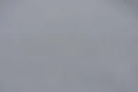 DSC_0386